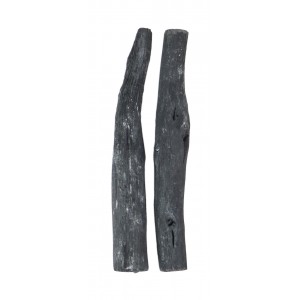Lot de 2 charbons actifs de purification d'eau Lot de 2 charbons actifs de purification d'eau