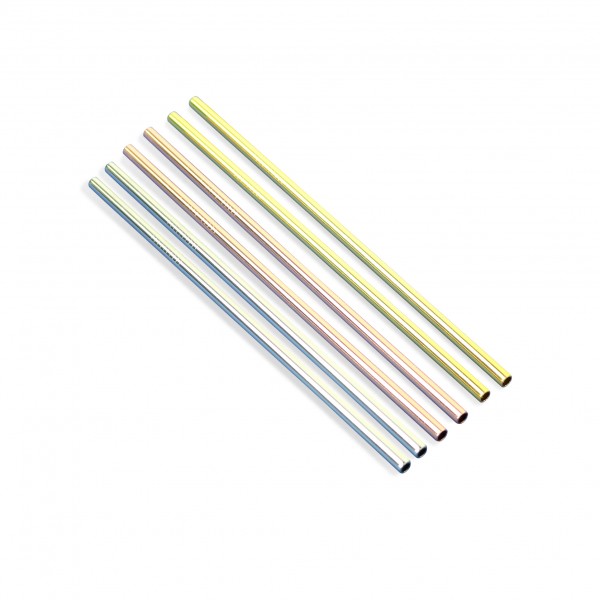 lot de 6 Pailles Réutilisable en Acier Inoxydable Pailles INOX - Prix en  Algérie