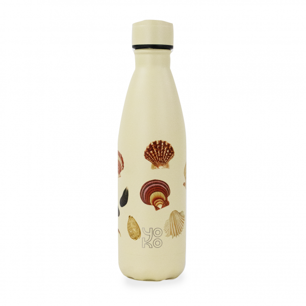 Bouteille isotherme Plage - coquillages - 500ml Bouteille isotherme Plage - coquillages - 500ml
