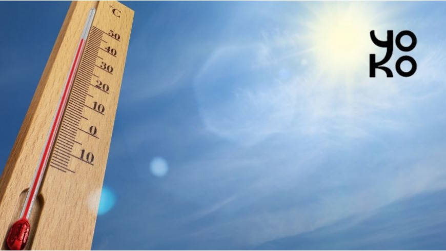 Prévention canicule, restez hydraté(e) !